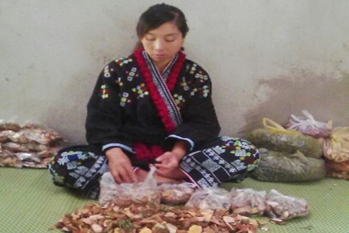 Lương y Tặng Thị Say – Cô gái trẻ người Dao có bài thuốc chữa vô sinh diệu kỳ